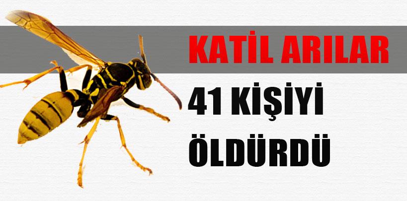 Çin'de katil arılar 41 kişinin ölümüne neden oldu