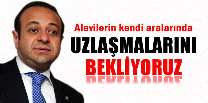 Bağış, ‘Alevilerin kendi aralarında uzlaşmalarını bekliyoruz'