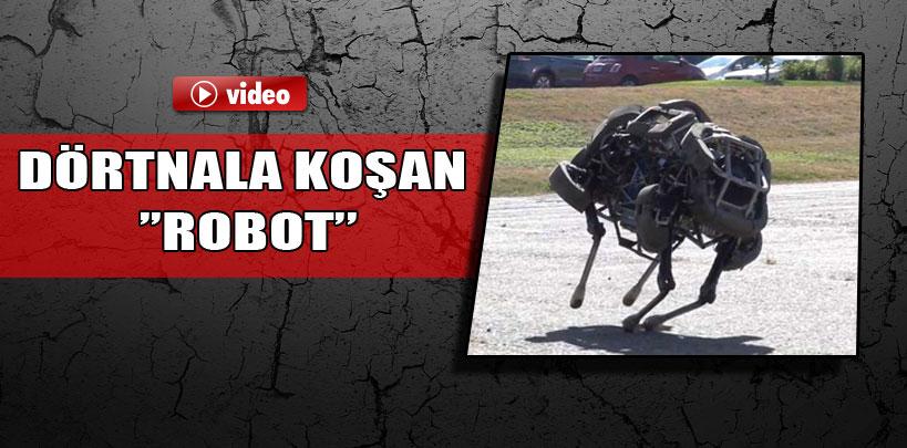 Dörtnala koşan 'robot'