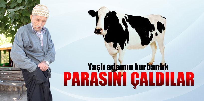 Adana'da yaşlı adamın kurbanlık parasını çaldılar