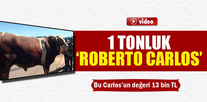 1 tonluk 'Roberto Carlos'