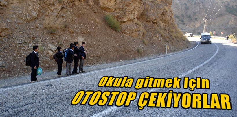 Hakkari'de okula gitmek için otostop çekiyorlar