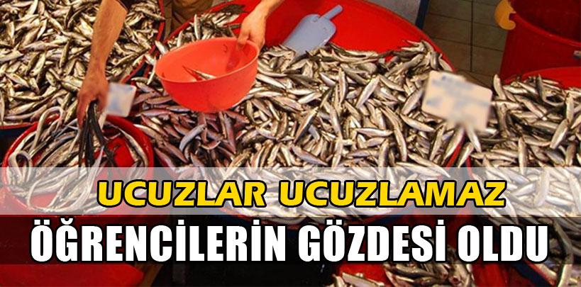 Ucuzlayan balık öğrencilerin gözdesi oldu