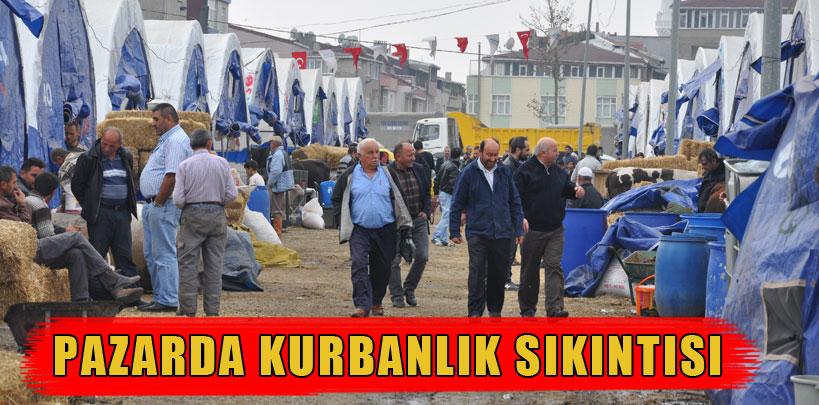 İstanbul'da  kurban kalmadı