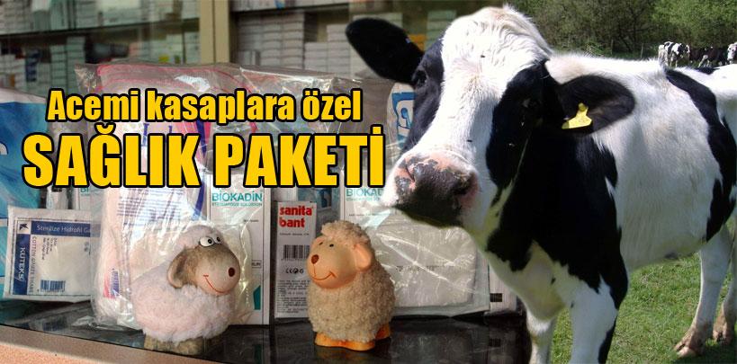 Acemi kasaplara özel sağlık paketi