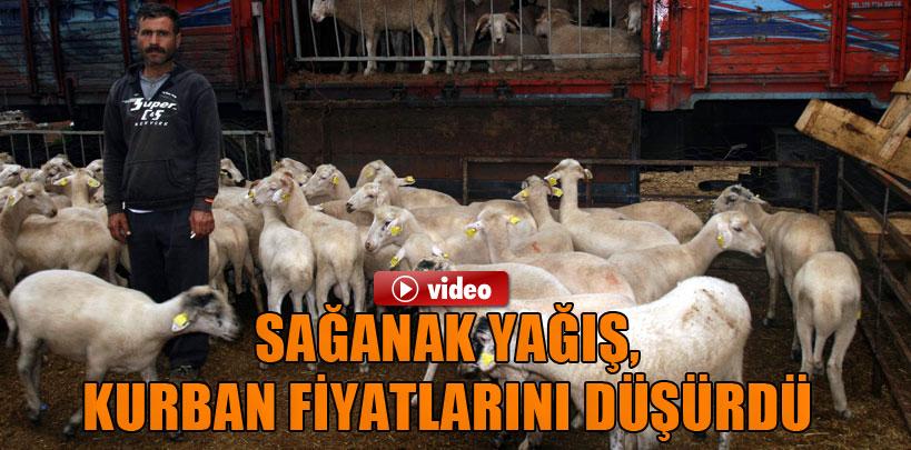 Sağanak yağış, kurban fiyatlarını yüzde 50 düşürdü