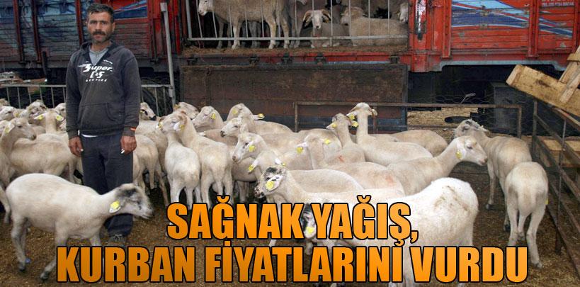 Sağnak yağış, kurban fiyatlarını yüzde 50 düşürdü