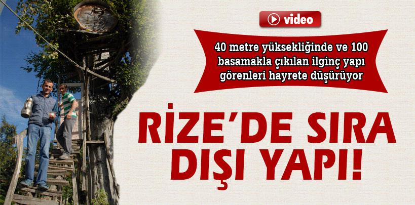 Rize'de ağacın tepesine çardak yaptılar