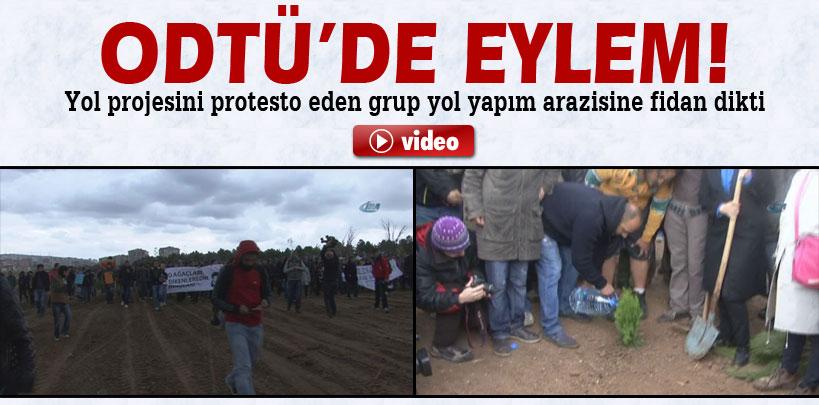 ODTÜ'de yol projesini protesto eden grup araziye fidan dikti