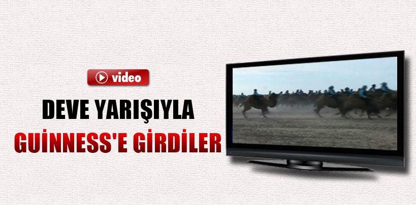 Çin, deve yarışı ile rekorlar Kitabı'na girdi