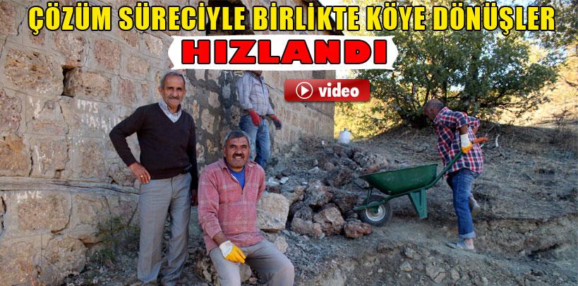 Çözüm süreciyle birlikte köye dönüşler hızlandı