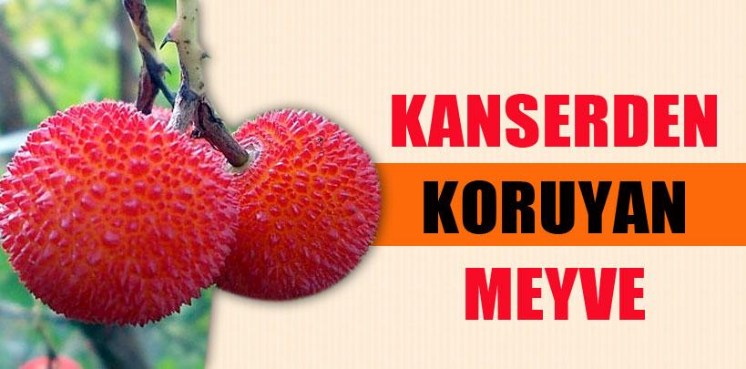 Kanserden koruyan meyve