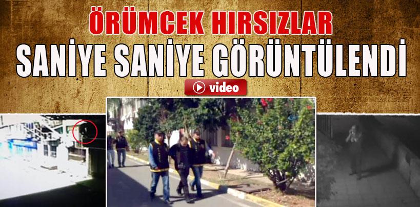 Örümcek hırsızlar saniye saniye görüntülendi