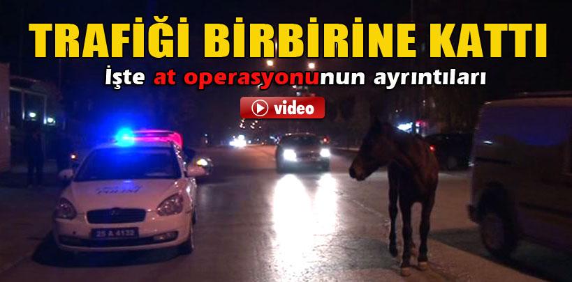 Erzurum'da ahırdan kaçan at trafiği birbirine kattı