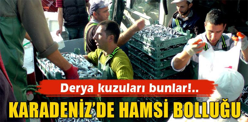 Hamsi, poşette 5 TL, kasada 20 TL'den satılıyor