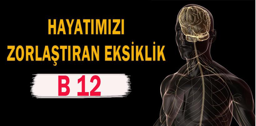 Hayatımızı zorlaştıran eksiklik, B 12