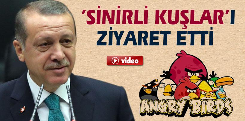 Başbakan Erdoğan 'Sinirli Kuşlar'ı ziyaret etti