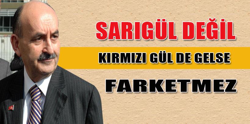 Mehmet Müezzinoğlu,'Sarıgül değil,kırımızı gül de gelse farketmez'